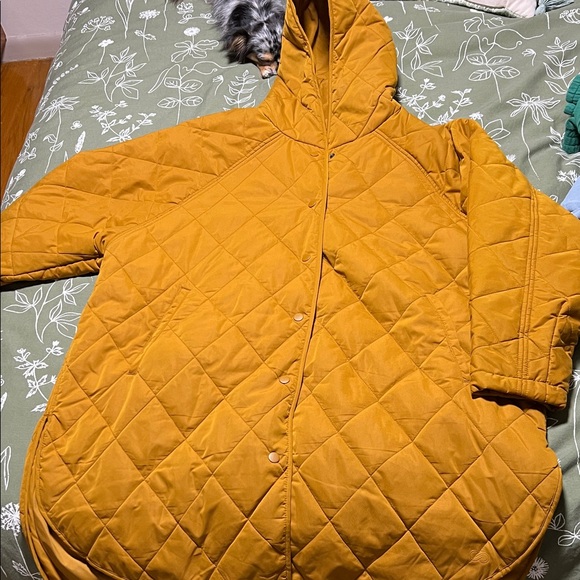 CALIA by Carrie Underwood Amber Quilted Puffer Jacket - Picture 1 of 9